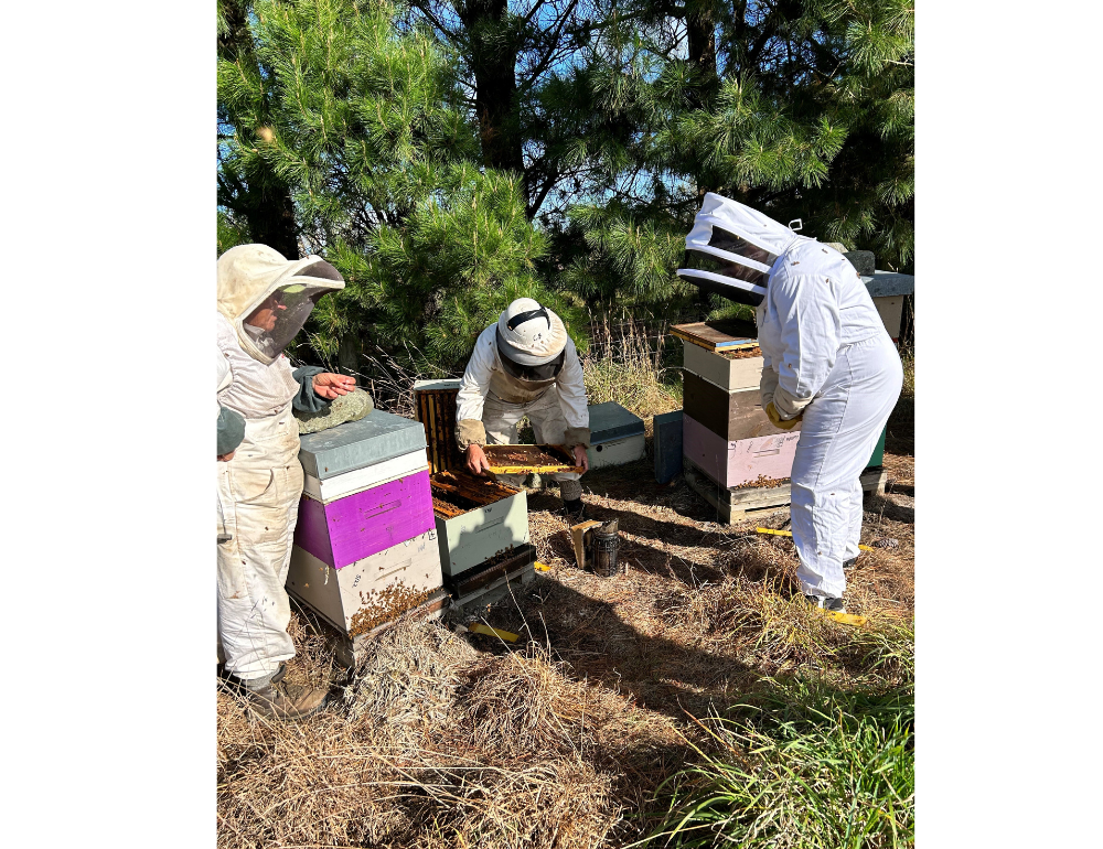 Beekeeping trip 2