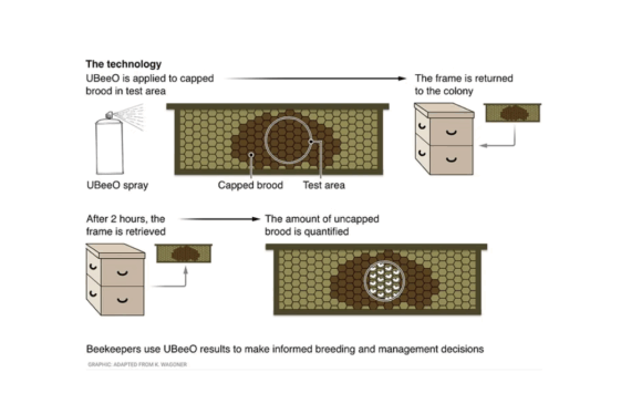 Template 1000x1000 - 2025-11-26T074509.250