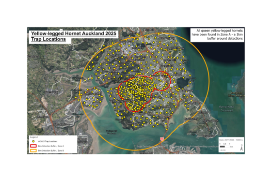 Template 1000x1000 (1000 x 1000 px) (35)